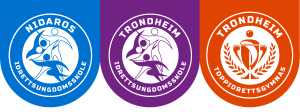 Nidaros Idrettsungdomsskole Sti logo
